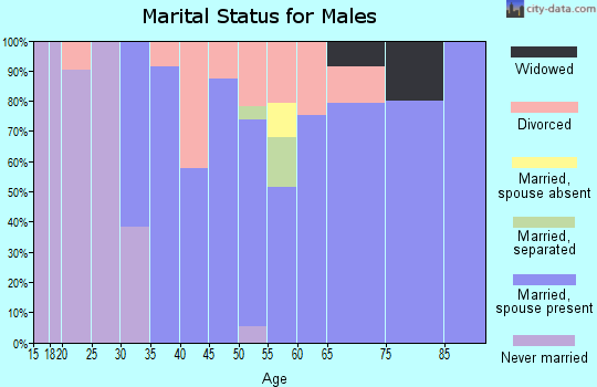 Zip code 76487 marital status for males