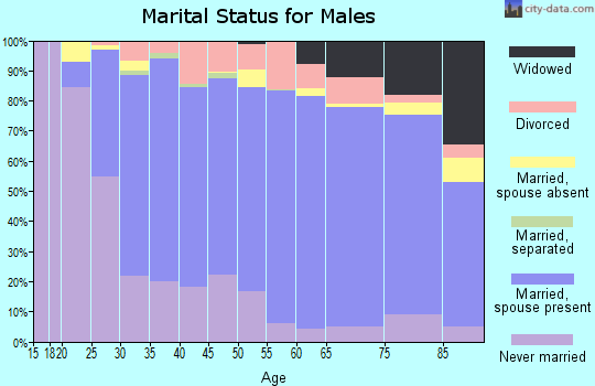 Zip code 76502 marital status for males