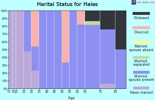 Zip code 76538 marital status for males