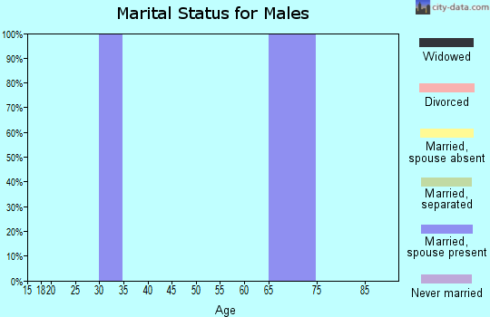 Zip code 76565 marital status for males