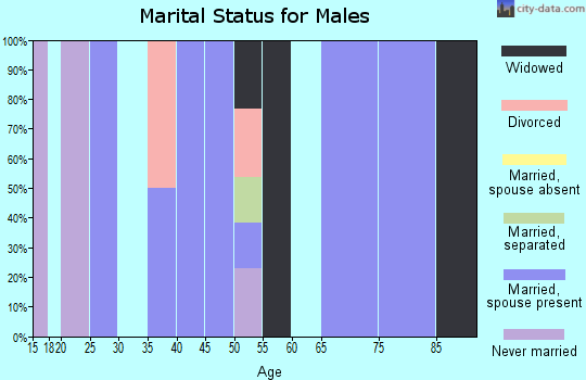 Zip code 76566 marital status for males