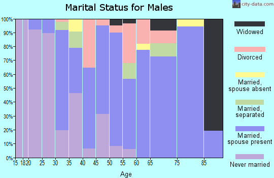 Zip code 76567 marital status for males