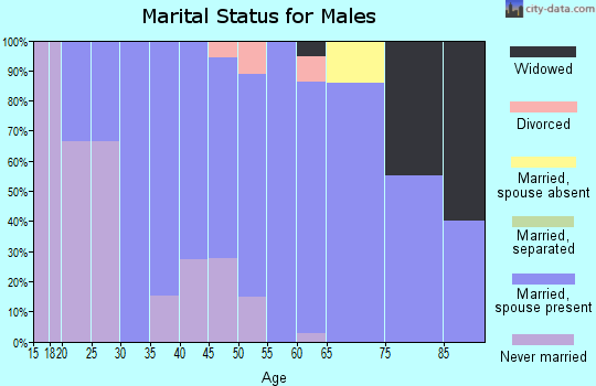 Zip code 76578 marital status for males