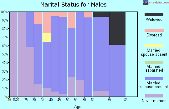 Zip code 76621 marital status for males