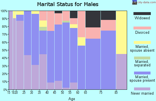 Zip code 76651 marital status for males