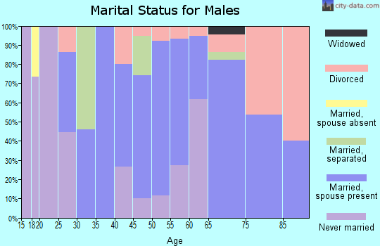 Zip code 76673 marital status for males