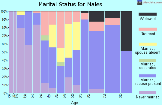 Zip code 76849 marital status for males