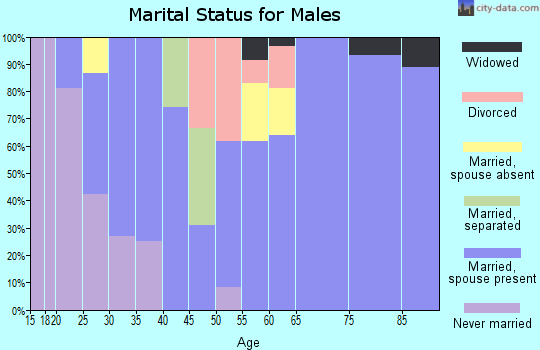 Zip code 76853 marital status for males