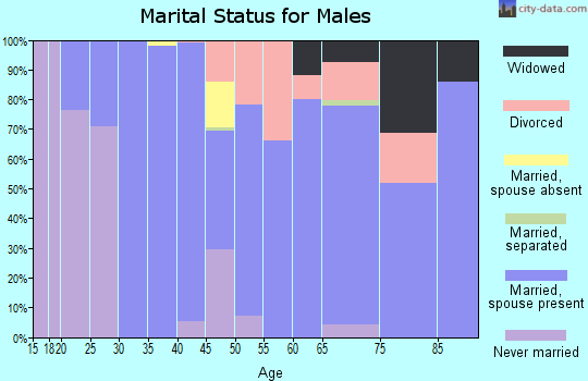 Zip code 76856 marital status for males