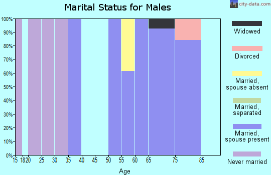 Zip code 76882 marital status for males