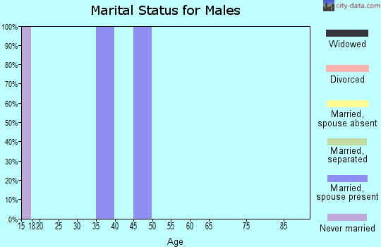 Zip code 76885 marital status for males