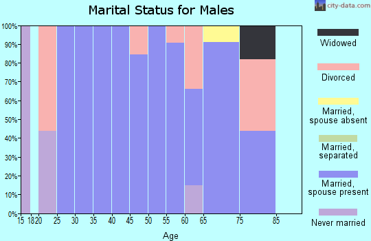 Zip code 76935 marital status for males