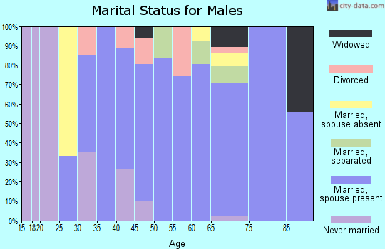 Zip code 76945 marital status for males