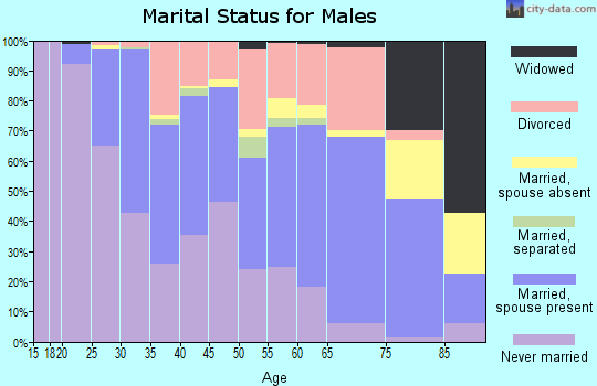 Zip code 77008 marital status for males