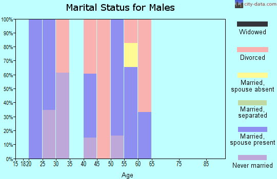 Zip code 77010 marital status for males