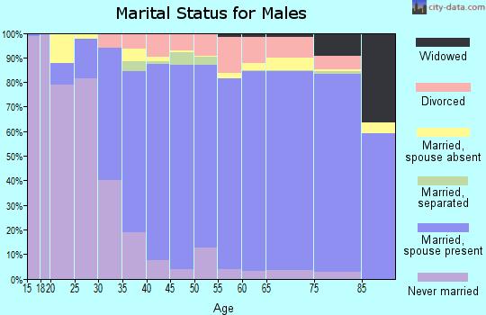 Zip code 77024 marital status