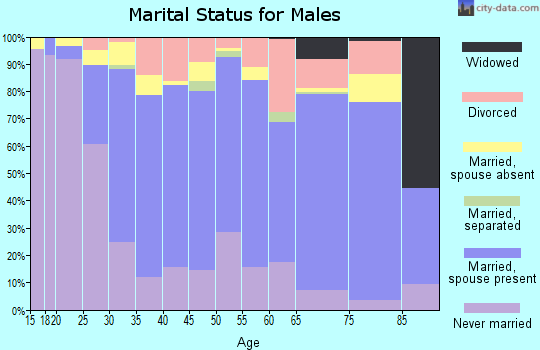 Zip code 77025 marital status for males