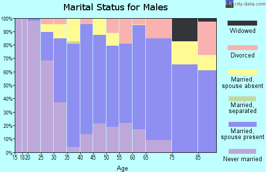 Zip code 77030 marital status