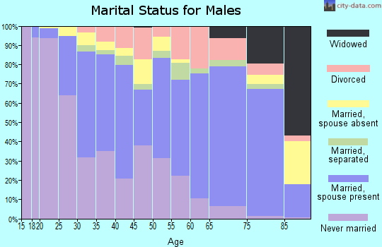 Zip code 77035 marital status for males