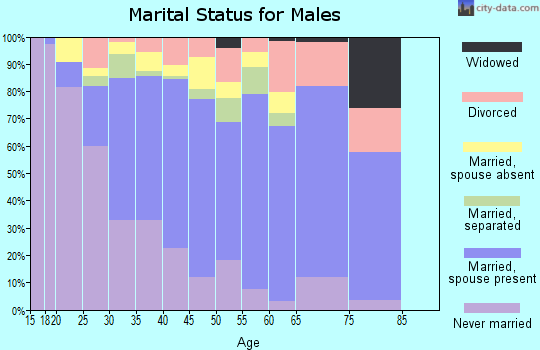 Zip code 77038 marital status for males