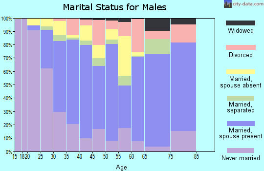 Zip code 77039 marital status for males