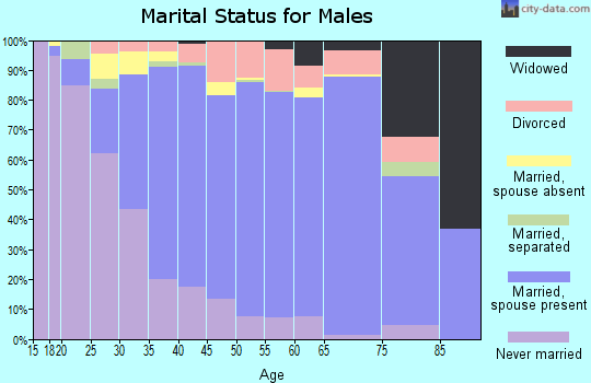Zip code 77041 marital status for males