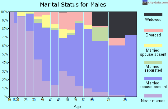 Zip code 77043 marital status for males
