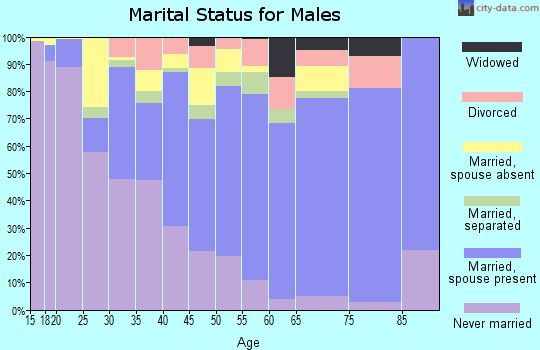 Zip code 77045 marital status for males