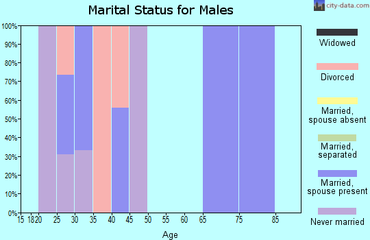 Zip code 77046 marital status for males