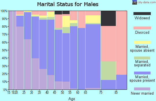 Zip code 77049 marital status for males