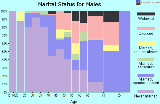 Zip code 77051 marital status for males