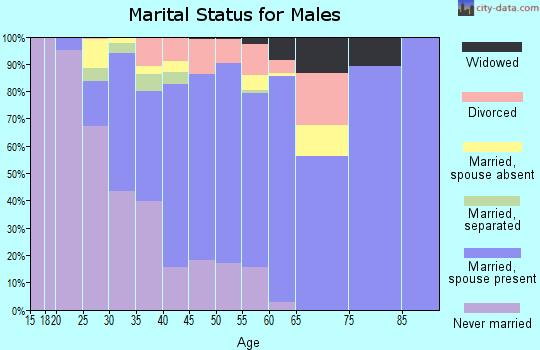 Zip code 77053 marital status for males