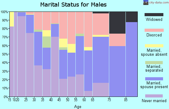 Zip code 77058 marital status