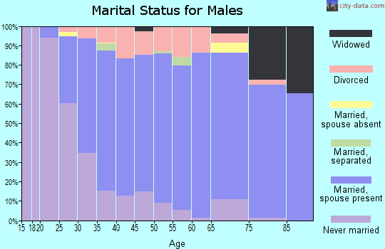 Zip code 77062 marital status for males
