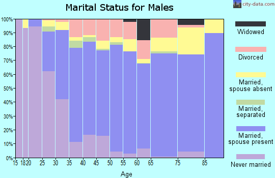 Zip code 77064 marital status