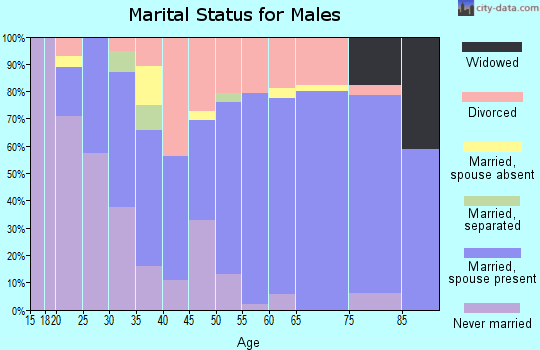 Zip code 77069 marital status for males
