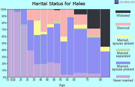 Zip code 77071 marital status for males