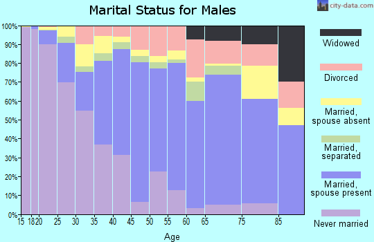 Zip code 77072 marital status for males