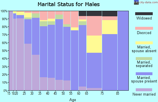 Zip code 77073 marital status for males