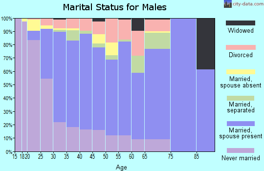 Zip code 77075 marital status for males