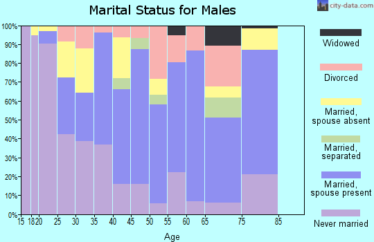 Zip code 77078 marital status for males