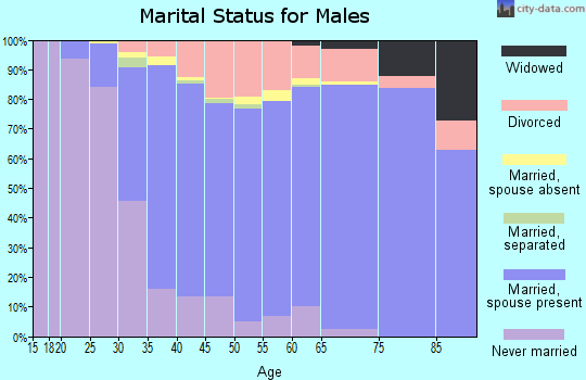 Zip code 77079 marital status