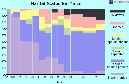 Zip code 77080 marital status for males