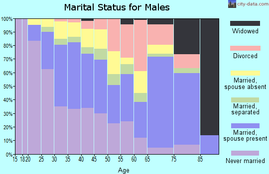 Zip code 77081 marital status for males