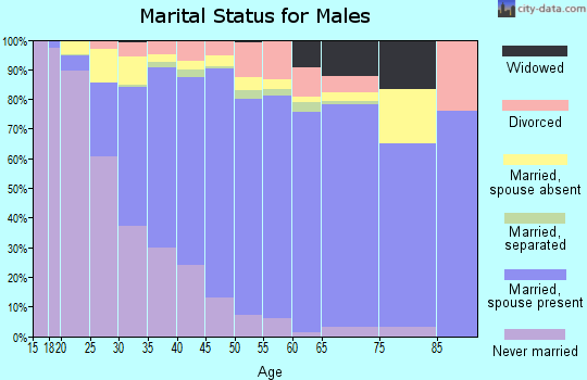 Zip code 77083 marital status for males