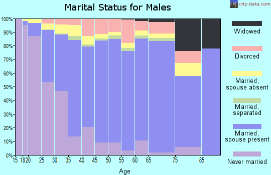 Zip code 77084 marital status