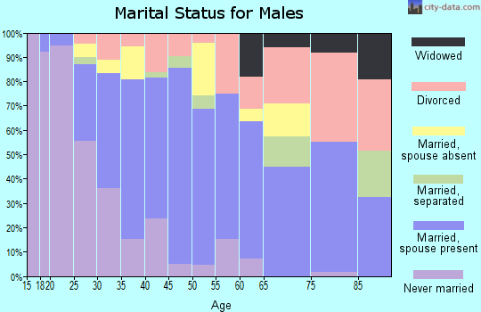 Zip code 77085 marital status for males