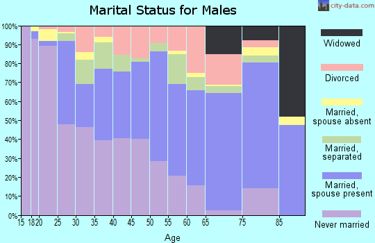 Zip code 77091 marital status for males