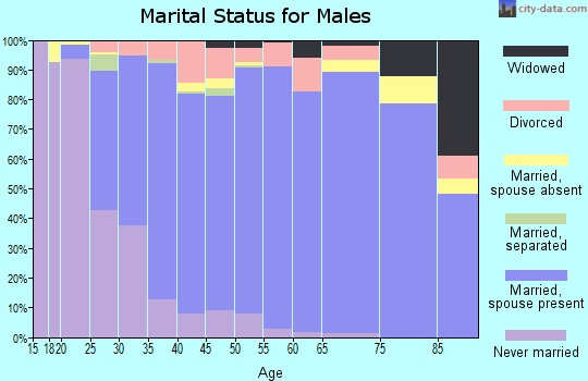 Zip code 77095 marital status for males