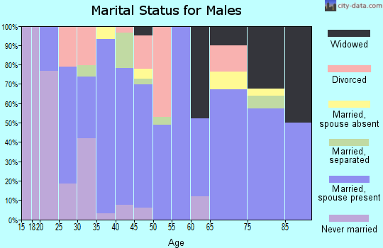 Zip code 77306 marital status for males